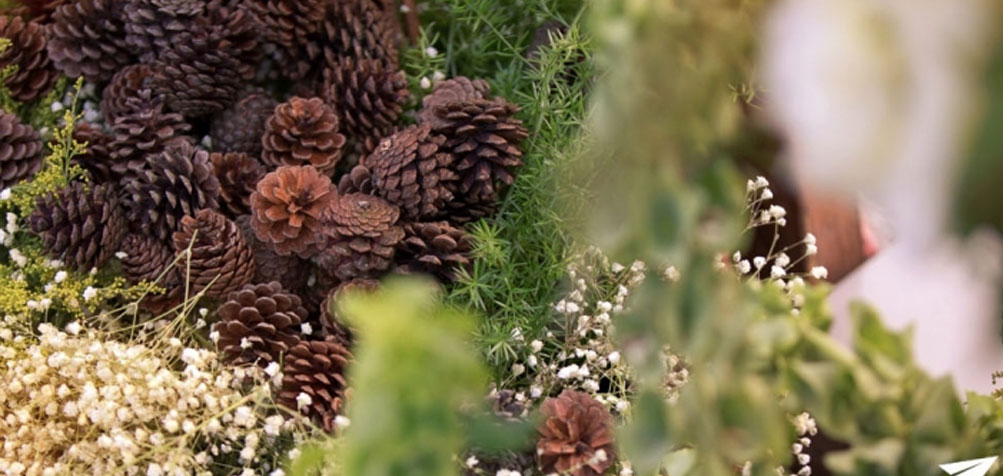 婚纱照套餐E系列